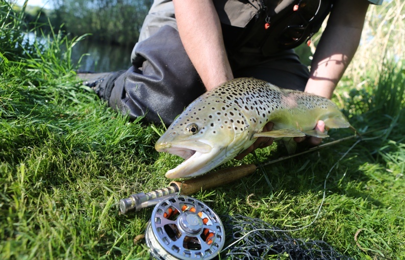 Upstream Dry Fly  Chalk Stream Fly Fishing Specialists in the UK